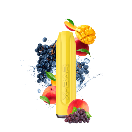 X-Bar 650 Mangue Raisin